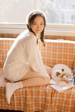 电视剧免费观看电视剧大全在线观